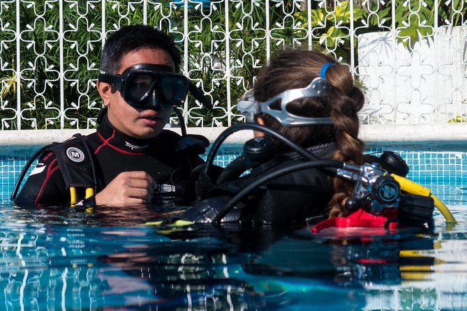 Two reef discovery dives with professional instructor (no experience necessary) - Two Reef Sessions Up to 40 Feet: What You’ll See