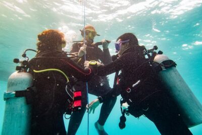 Two reef discovery dives with professional instructor (no experience necessary) - Gear, Fees, and What’s Included in the $150 Price