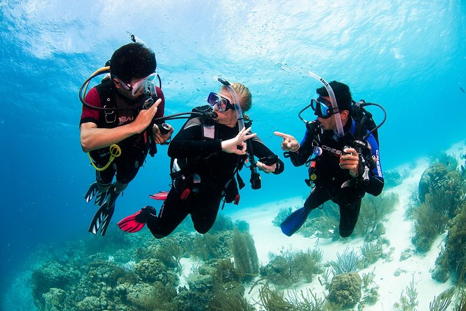 Two reef discovery dives with professional instructor (no experience necessary) - FAQ