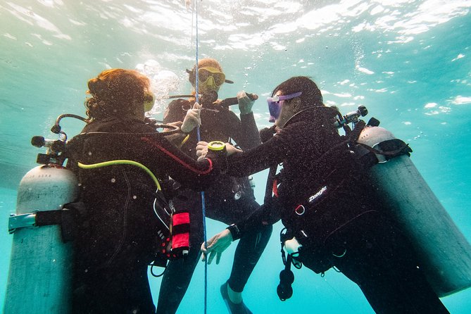 Two reef discovery dives with professional instructor (no experience necessary) - Gear, Fees, and What’s Included in the $150 Price