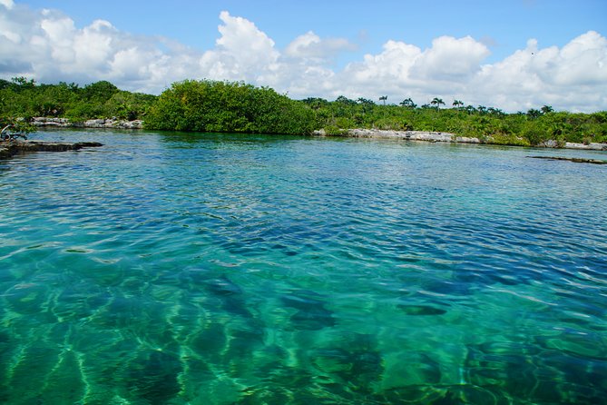 VIP Cenotes Private Tour - The 7:00 am start: why early matters for cenotes