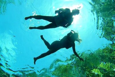 VIP Cenotes Private Tour (half-day) - Cenote Xunaan Ha: Jungle Open-Air Swimming for Real Cenote Vibes