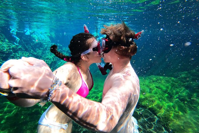 VIP Cenotes Private Tour (half-day) - Fresh Ceviche Stop: Local Flavor Without Calling It a Full Lunch