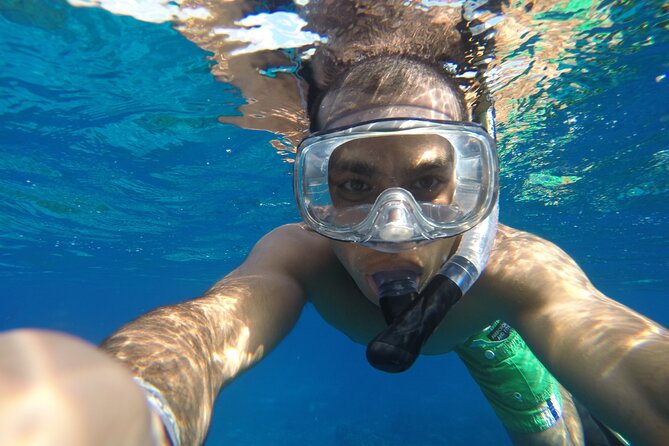 VIP Cenotes Private Tour (half-day) - Who This Tour Is Best For (and Who Might Want Another Option)