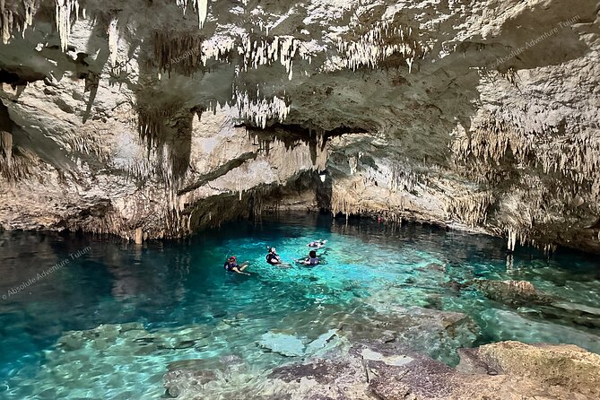 VIP Tulum Ruins Private Tour with Snorkeling in Stunning Cenote - Guides who can shape the day