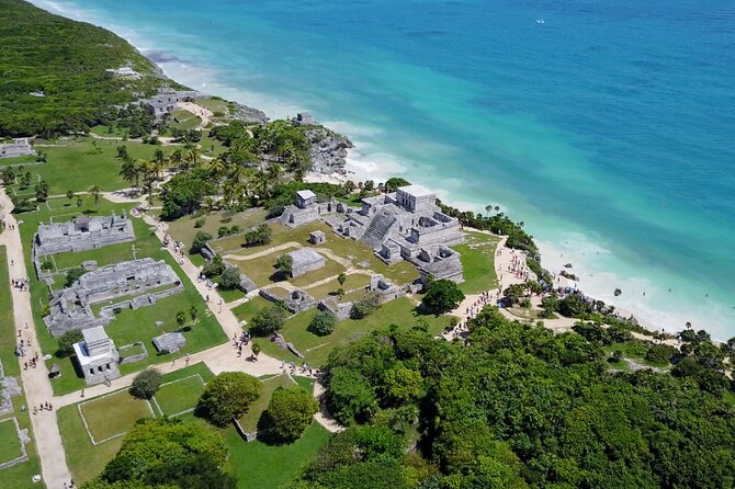 VIP Tulum & Turtles Private Tour - Turtles and Tulum in 4 hours: the VIP format that actually feels worth it