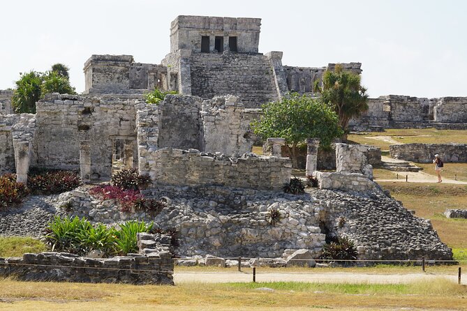 VIP Tulum & Turtles Private Tour - Price and value: is $205 per person fair for what’s included?