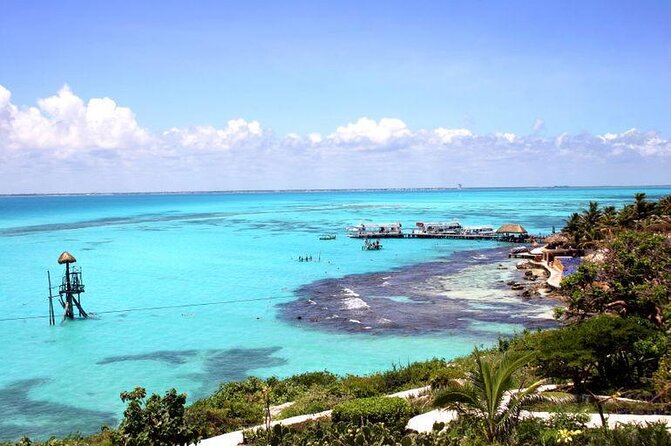 Whale Shark Encounter Full-Day all inclusive Tour from Riviera Maya - Key highlights worth planning for