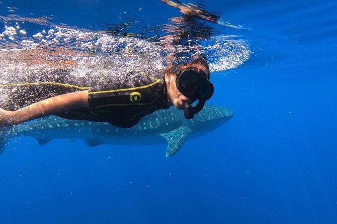 Whale shark encounter Private tour - swim with whale shark cancun - Restaurant Mandinga breakfast stop: a calm start before the search