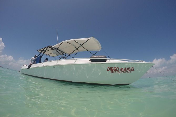 Whale shark encounter Private tour - swim with whale shark cancun - Lunch and Isla Mujeres time: the reward after the water