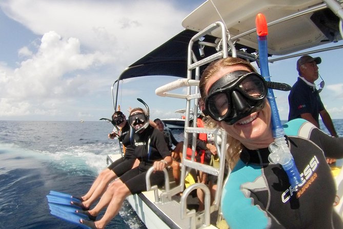 Whale shark encounter Private tour - swim with whale shark cancun - Your guide and crew: names to look for, and why that matters